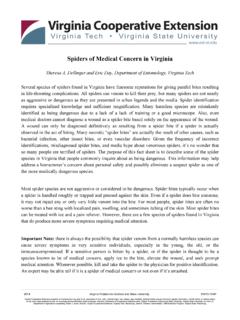 Spiders of Medical Concern in Virginia - VCE Publications