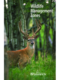 Wildlife Management Zones - New Brunswick