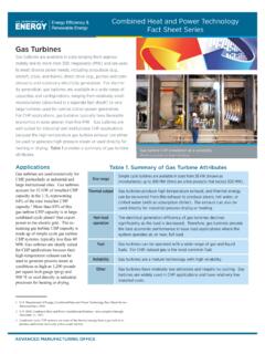 Combined Heat and Power Technology Fact Sheets Series ...