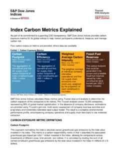 Index Carbon Metrics Explained - S&amp;P Global