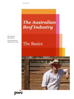223396 The Australian Beef Industry The Basics V4