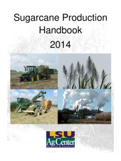 Sugarcane Production Handbook 2014 - LSU AgCenter