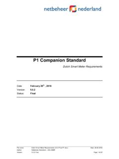 P1 Companion Standard - Netbeheer Nederland