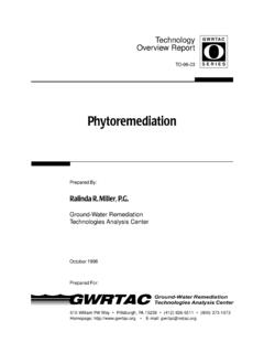 Phytoremediation: Technology Overview Report