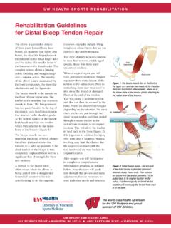 Distal Biceps Tendon Repair Rehab - UW Health