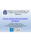 Cancer and the Immune System: The Basics - AMOS Online