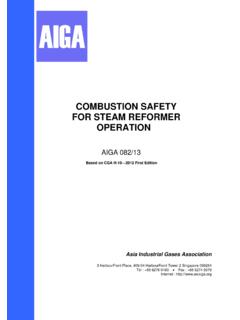 COMBUSTION SAFETY FOR STEAM REFORMER …