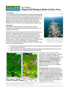 Fact Sheet: Illegal Gold Mining in Madre de Dios, …