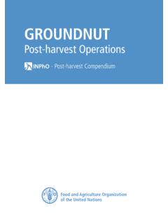 GROUNDNUT - Food and Agriculture Organization