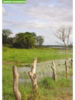BIODIVERSITY AND CONSERVATION - Department of …