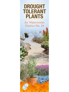 Drought tolerant Plants - Los Angeles County, California