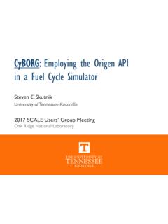CyBORG: Employing the Origen API in a Fuel Cycle Simulator