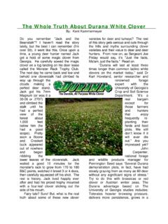 The Whole Truth About Durana White Clover
