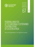 REGIONAL ANALYSIS CONTRIBUTIONS OF EASTERN AFRICA