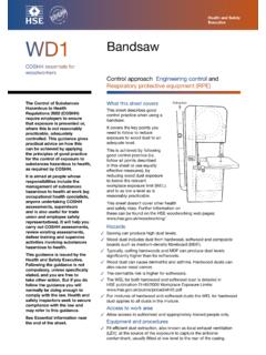 Health and Safety WD1 Bandsaw - HSE