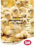 Hatchery Management Guide - Cobb Vantress Homepage