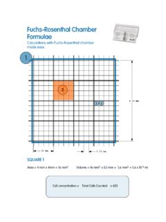 Fuchs -Rosenthal Chamber Formulae - Celeromics