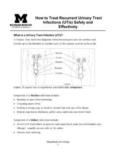 How to Treat Recurrent Urinary Tract Infections (UTIs ...