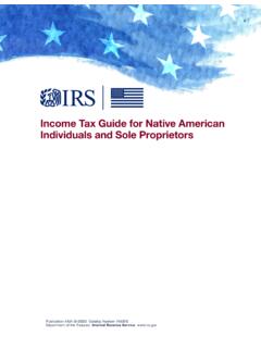 Income Tax Guide for Native American Individuals and Sole ...