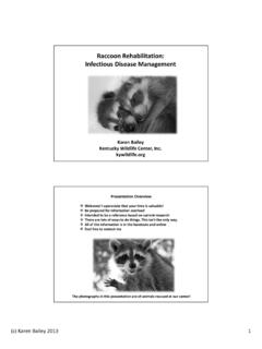 Raccoon Rehabilitation: Infectious Disease Management