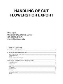 HANDLING OF CUT FLOWERS FOR EXPORT - ucce.ucdavis.edu