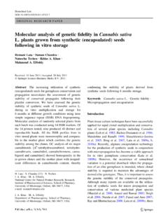 Molecular analysis of genetic ﬁdelity in Cannabis sativa L ...