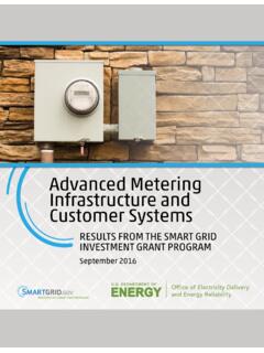 Advanced Metering Infrastructure and Customer Systems ...