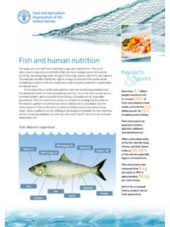 Fish and human nutrition - Food and Agriculture Organization