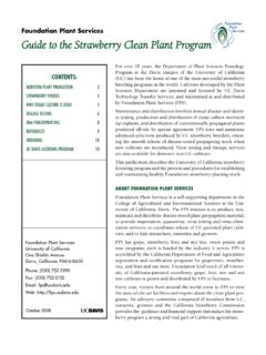 Foundation Plant Services Guide to the Strawberry Clean ...
