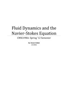 Fluid Dynamics and the Navier-Stokes Equation - UMD