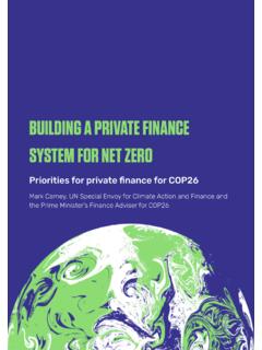 BUILDING A PRIVATE FINANCE SYSTEM FOR NET ZERO
