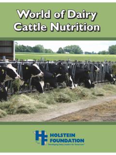 Holstein Foundation Workbook: World of Dairy …