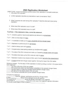 DNA Replication Worksheet - MRS. BISCH