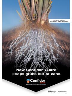 New Confidor Guard keeps grubs out of cane.