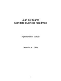 Lean Six Sigma Standard Business Roadmap