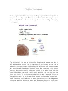Flow Cytometry Reading Material - IIT Kanpur
