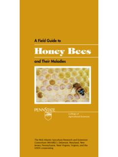 A Field Guide to Honey Bees - New Jersey