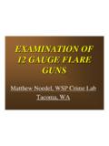 EXAMINATION OF 12 GAUGE FLARE GUNS - Noedel Scientific