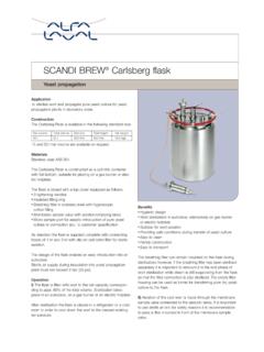 SCANDI BREW Carlsberg flask - saturnec.com