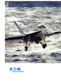Boeing F/A-18E/F Super Hornet &amp; EA-18G Growler