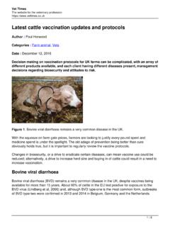 Latest cattle vaccination updates and protocols