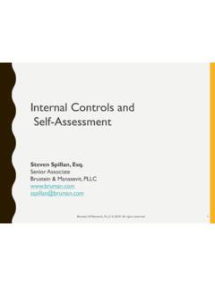 Internal Controls and Self-Assessment