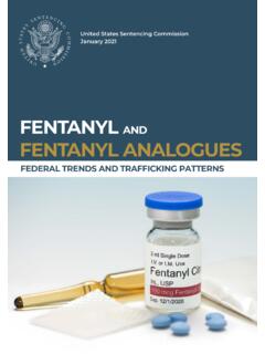 Fentanyl and Fentanyl Analogues: Federal Trends and ...