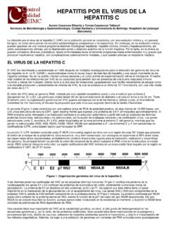 EL VIRUS DE LA HEPATITIS C - seimc.org