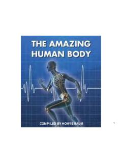 Introduction to the Body - University Of Cincinnati
