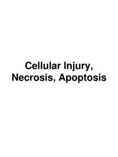 Cellular Injury, Necrosis, Apoptosis