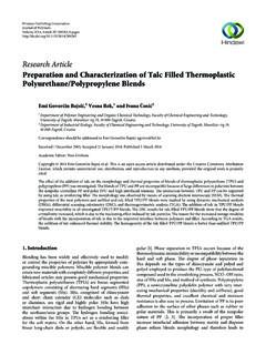 Research Article Preparation and Characterization of Talc ...