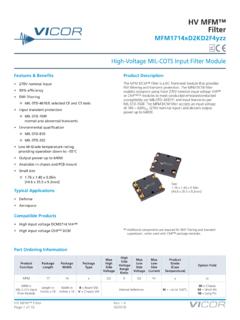 High-Voltage MIL-COTS Input Filter Module