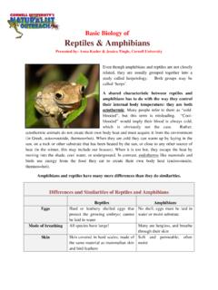 Basic Biology of Reptiles &amp; Amphibians