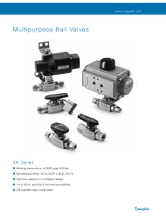 Multipurpose Ball Valves - Swagelok
